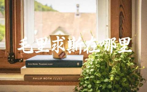 毛里求斯在哪里 毛里求斯对中国免签吗