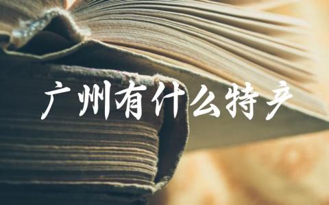 广州有什么特产值得送人 广州必带十大特产有哪些