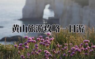 黄山旅游攻略一日游